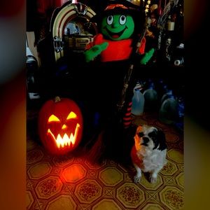 Meet your Posher, Patricia